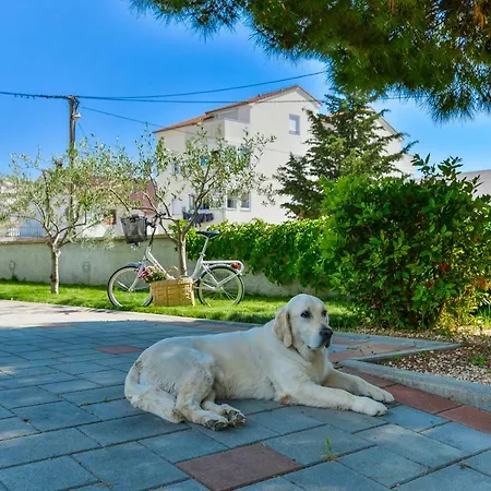 Dora With Jacuzzi Daire Zadar
